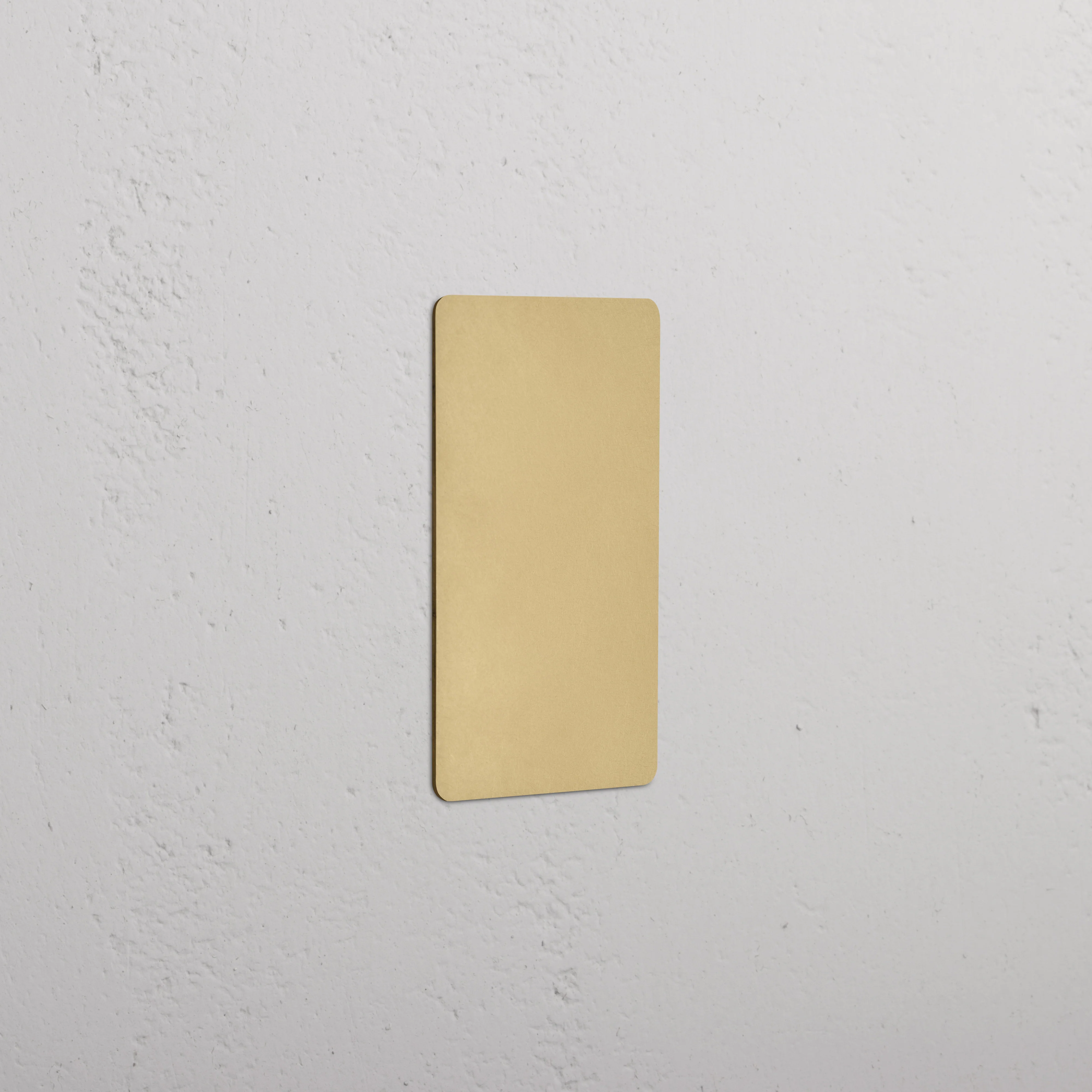 Kew 1G Blank Plate - Antique Brass