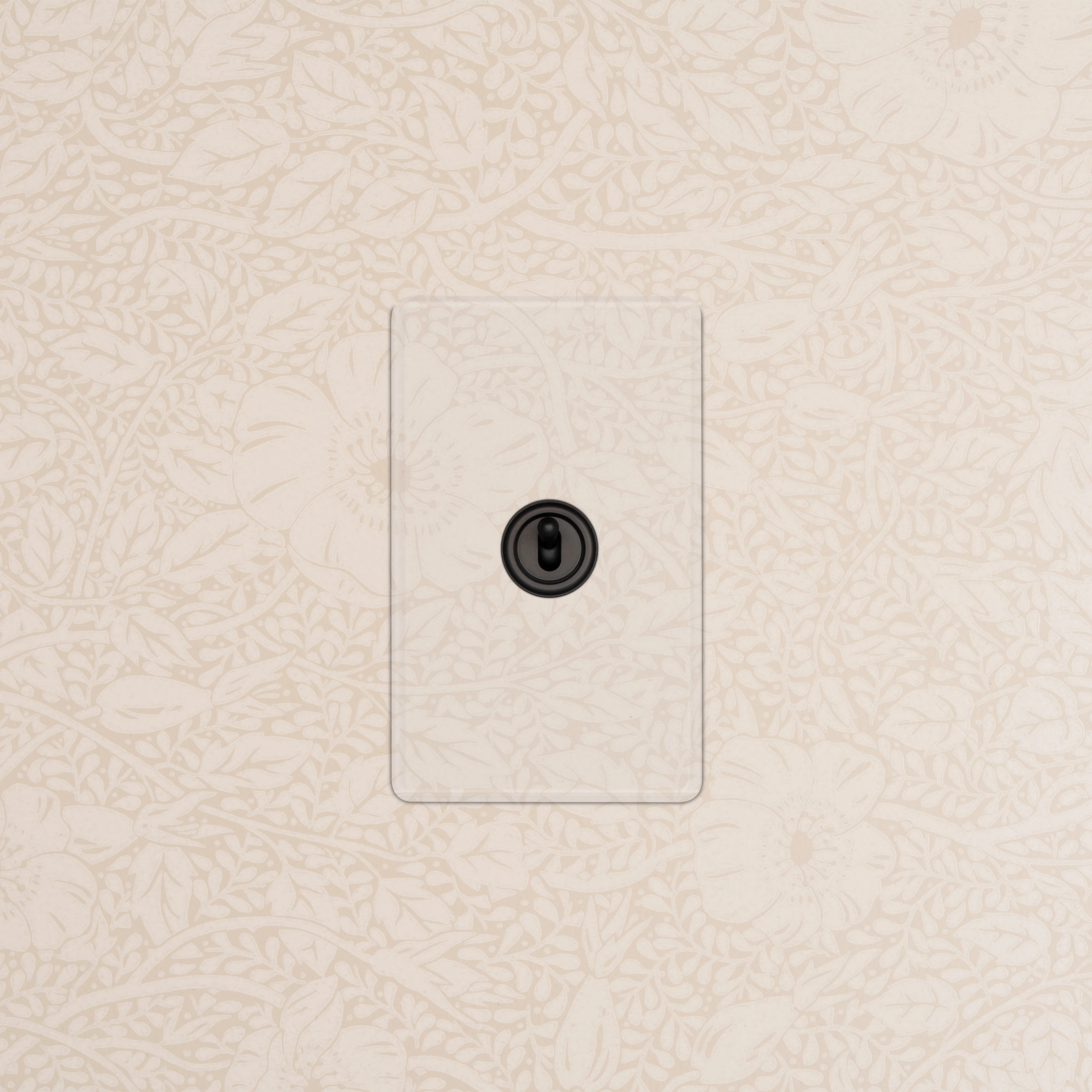 Kew 1G Retractive Toggle Switch - Clear Bronze - Image 2